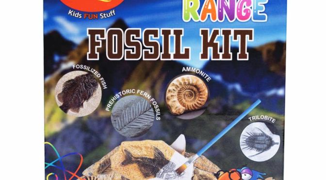 Science Range Fossil Kit Crazy Crafts