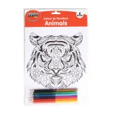 Colour by Numbers Animals