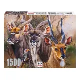 Bushveld Splendour 1500 Piece Puzzle Box RGS