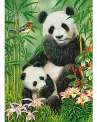 Panda Brunch – 300pce Castorland Puzzle