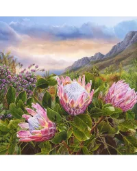 Pink Proteas – 1000pce RGS Puzzle