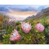 Pink Proteas – 1000pce RGS Puzzle