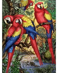 Macaw Parrots – 500pce Frank Puzzle