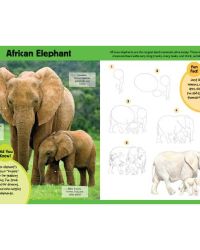 Learn to Draw: Safari Animals – Walter Foster Jr.