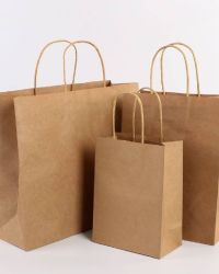 Carrier Bag with Twisted Handle – 31cm x 21cm