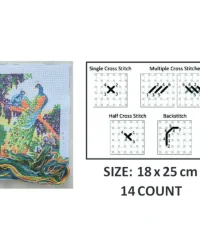 Peacock Cross Stitch Kit – W&M