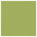 ULT Cardstock - 30x30cm Leaf_Olive