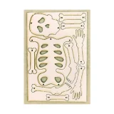 Cardboard puppet - skeleton not built
