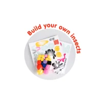 Creepy Crawly Insects Craft Kit