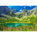 Zelene Pleso 1000 piece puzzle image