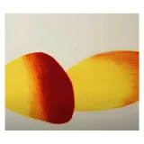 Derwent Lightfast Pencil Set - 12 Piece