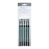Paint Brush Set Bianco 5pce