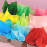 Tissue Paper Colours 10pce 50x65cm dala