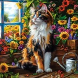 Puzzle - Blooming Cat Meditation (1000pce)