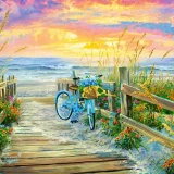 Puzzle - Morning Ride (1000pce)