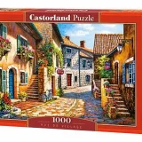 Puzzle - Rue de Village (1000pce)
