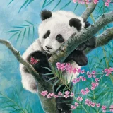 Puzzle - Bamboo Dreams (500pce)