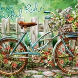 Puzzle - Beautiful Ride (500pce)