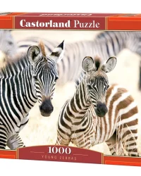 Puzzle – Young Zebras (1000pce)