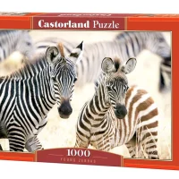 Puzzle – Young Zebras (1000pce)
