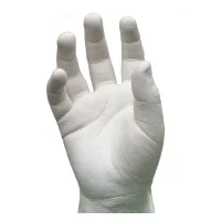 LifeCast BPB – 2kg