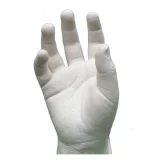 LifeCast BPB - 2kg