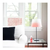 Rit Dye 236ml - Coral