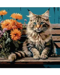 Paint by Numbers – Cat