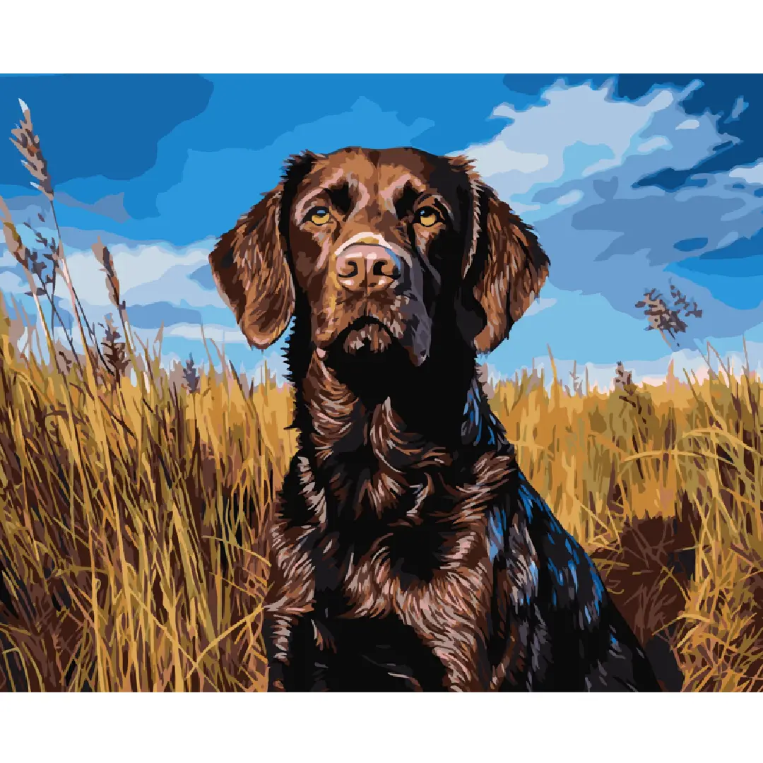 Paint by Numbers - Dog