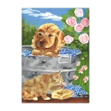 Paint by Numbers - Small Dogs Set