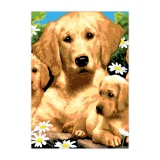 Paint by Numbers - Small Dogs Set