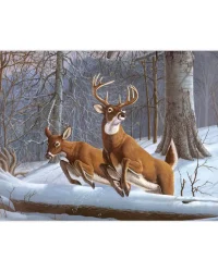 Paint by Numbers – White Tails