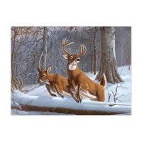 Paint by Numbers – White Tails
