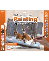 Paint by Numbers – White Tails