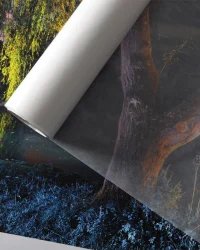 Canson Infinity Glassine Paper 40g
