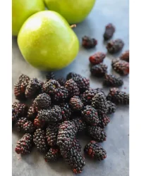 Fragrance Oil – Appleberry