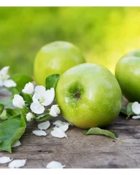 Fragrance Oil – Apple Blossom