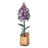 Robotime 3D Wooden Puzzle - Lilac