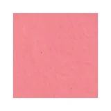 Zelcraft Craft Acrylics 60ml - Carnation