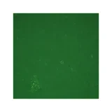 Zelcraft Craft Acrylics 60ml - Leaf