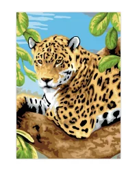 Paint by Numbers – Small Jungle Cats Set