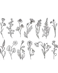 Clear Stamp – Floral Small