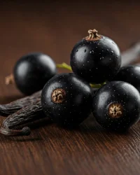 Fragrance Oil – Blackcurrant & Vanilla