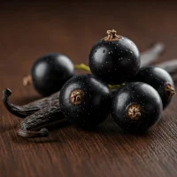 Fragrance Oil – Blackcurrant & Vanilla