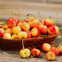 Fragrance Oil – Royal Ann Cherries