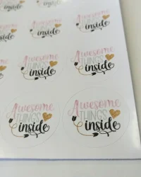 Awesome Things Inside Stickers – 12 Pieces
