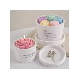 Silicone Flower Pot Mould