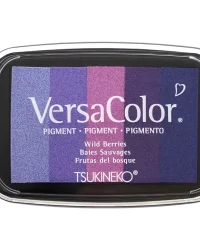 VersaColor Ink Pad – Wild Berries
