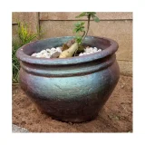 Colour Transition Paint - Silver-Green to Burgundy