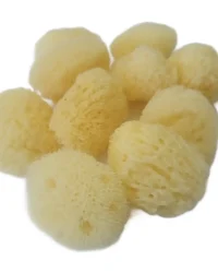 Natural Art Sponge – Fine Variety Pack